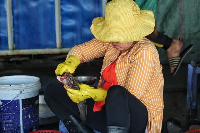 vietnam-4889644_640.jpg